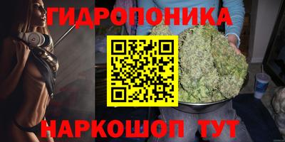 ГАЛЛЮЦИНОГЕННЫЕ ГРИБЫ Донской